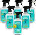 Aunt Fannie's All Purpose Household Cleaner, Multi-surface Spray, Powered by Vinegar for Kitchen, Bath, Windows and Countertops, Lemon Scent (Pack of 6)