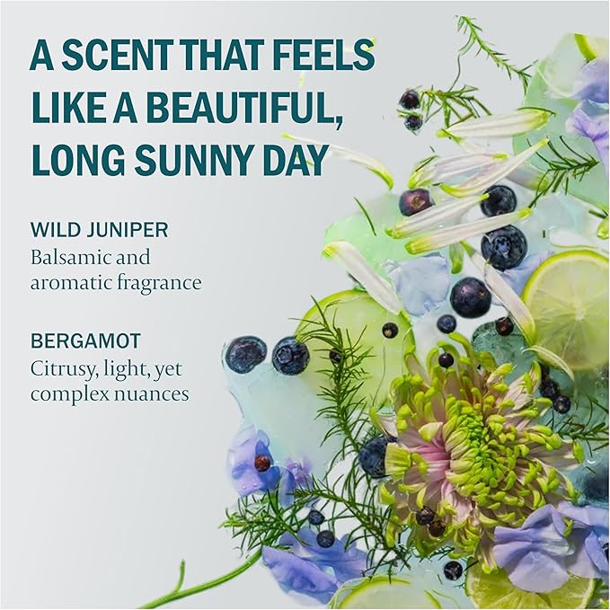 Kair Signature Fabric Conditioner - Wild Juniper & Bergamot | Plant-Based Fabric Softener, 16.9 Fl Oz, Vegan, Cruelty-Free, Biodegradable, Anti-Static Softens & Protects Fibers