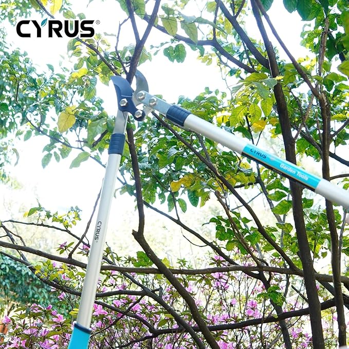 CYRUS 30-Inch Garden Loppers for Tree Trimming - 2" Cutting Capacity, Long Ergonomic Handles for Effortless Branch Cutting, Heavy-Duty Branch Trimmer for Tree Limbs, Hedges & Bushes