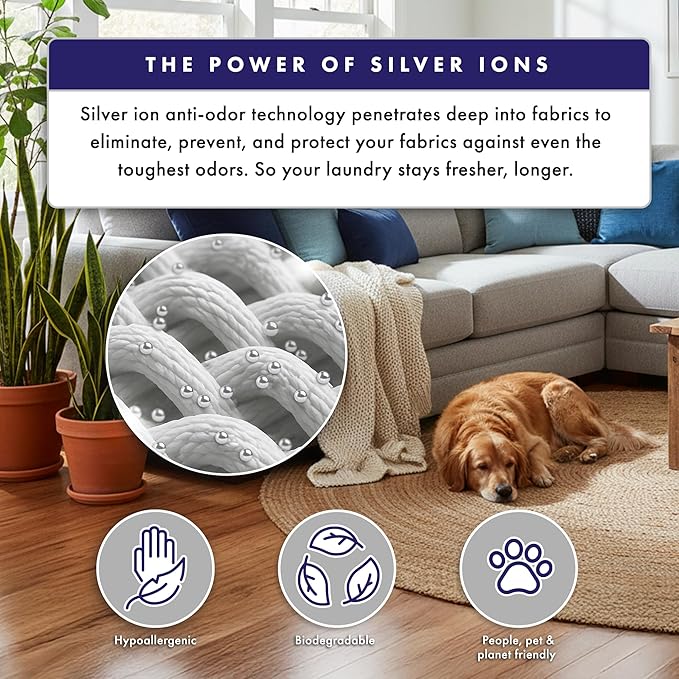 SilverWorks! Fabric Spray Odor Eliminator For Home - Powerful, Natural Silver Ion Deodorizing Technology - Clothes, Furniture And Couch Deodorizer Odor Eliminator And Refresher Spray -16.9oz