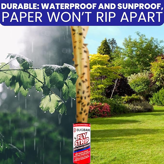 Fly Strips Indoor Sticky Hanging 48pk with Pins. Non Toxic Outdoor Fly Trap Indoor for Home. Flies Tape Paper Trap Ribbon Roll for House Gnat Fruit and Housefly. Bug Catchers for Inside Home Flypaper