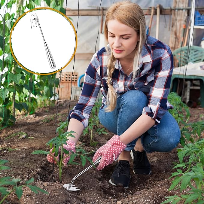 3 Pack Heavy Duty Stainless Steel Weed Puller Tools 4 Tooth V Head Manual Hand Weeder for Dandelions, Thistles Deep Roots, Manual Garden Weed Removal Tools for Lawn, Yard and Flower Beds