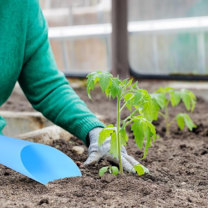 HARFINGTON Bonsai Soil Scoop 6.3" x 1.8" Plastic Colorful Mini Garden Shovel Cultivation Digging Transplanting Tools for Plant Flower Succulent Coffee Beans, Blue