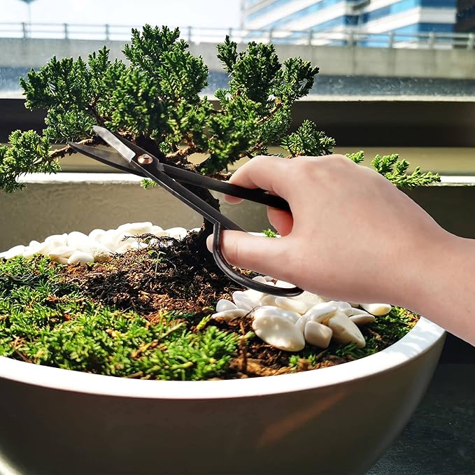 BambooMN Bonsai Basics Set - 7.2" Trimming Shears & 7" Heavy Duty Butterfly Shear - 10 Sets