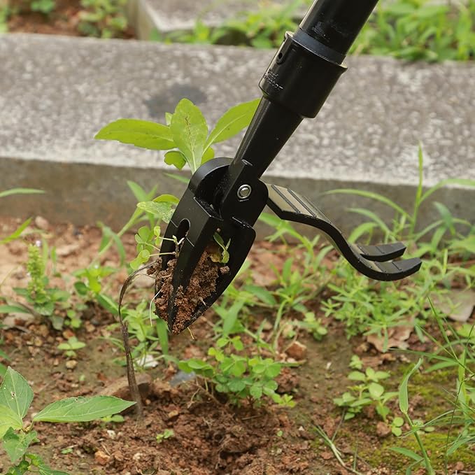 Manual Weed Puller Tool - 4-Claw Steel Head - Efficient Weed Remover with Long Handle for Garden Weeding Easily Remove Weeds Effortlessly Without Kneeling