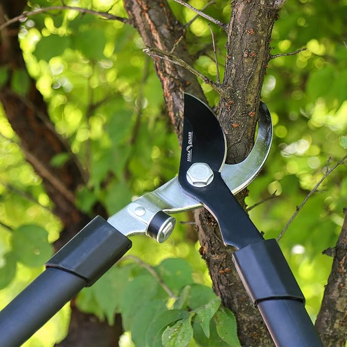 FLORA GUARD 26-Inch Bypass Lopper, Makes Clean Professional Cuts, 1.25-Inch Cutting Capacity, Tree Trimmer and Branch Cutter Featuring Sturdy