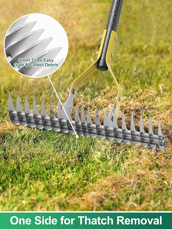 Thatch Rake, 2-in-1 Lawns Manual Dethatcher with Adjustable Head, 55" Heavy Duty Metal Dethatching Rake Garden Tools, 19-Tooth Sharp Blade for Yard Dead Grass, Moss Removal, Soil Loosening