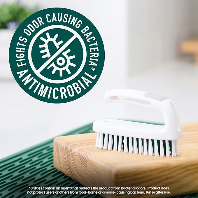 Scotch-Brite Small Utility Brush, Long Lasting Dish Brush with Handle for Scrubbing Cookware, Hands, Tile, Grout, Cutting Boards, and Utensils without Scratching, Antimicrobial, and Rinses Clean