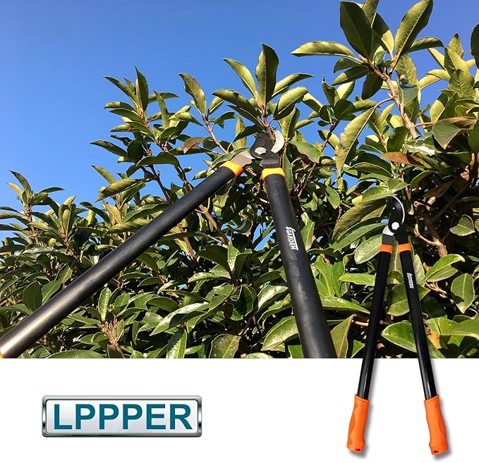 Coarbor 3 Piece Garden Tools Hedge Shear Trimmer Bypass Lopper Pruning Shears Ideal for Tree Branches Pruning Sharp Shrubs and Other Yard Work