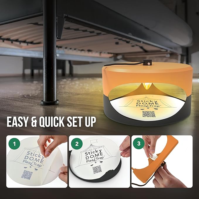 ASPECTEK Sticky Dome™ Flea Trap, Odorless Glue Trap with 2 Sticky Discs, Effective Bed Bug Killer and Flea and Tick Treatment, Indoor Insect Trap for Bugs, 2 Packs in Orange and Dark Gray