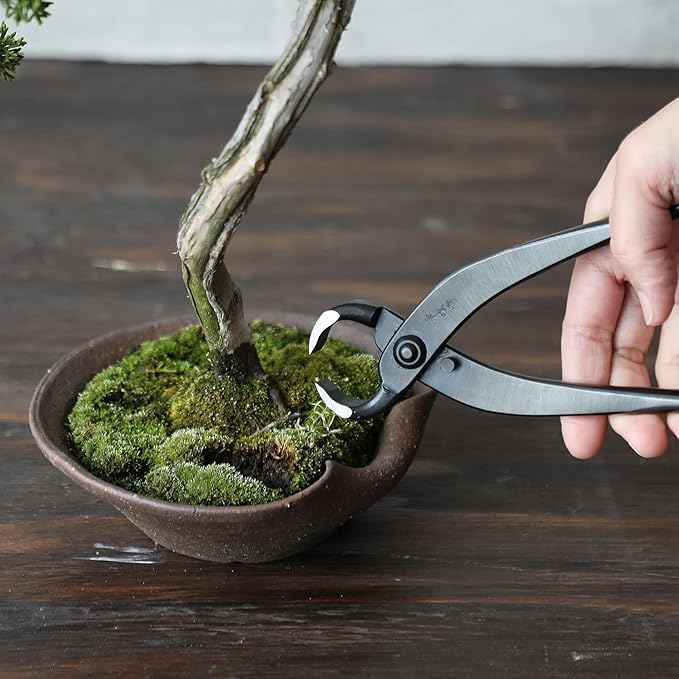 Hand Forged Bonsai Root Cutter 8.25"(210mm)