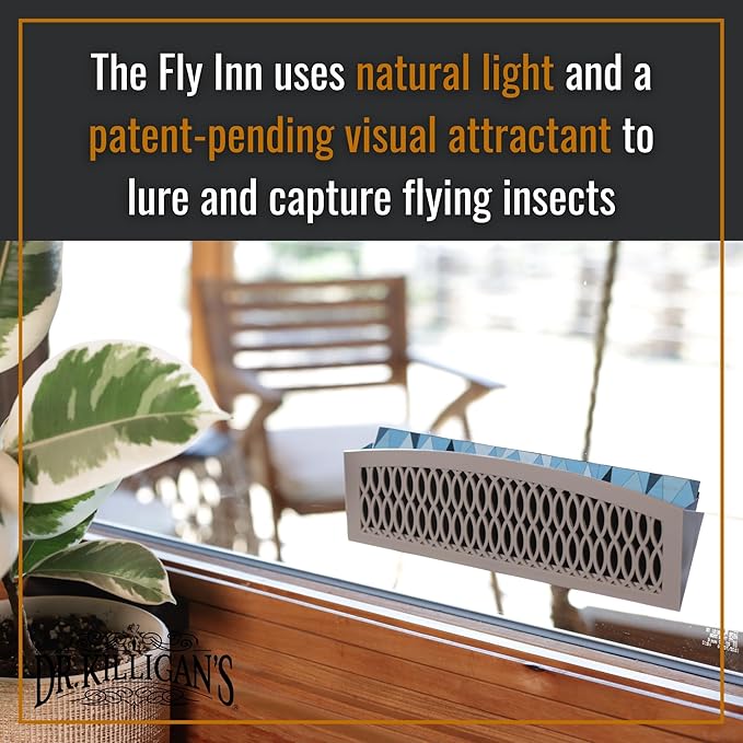 Dr. Killigan's The Fly Inn | Sticky Window Traps | Indoor Insect Trap | Catches and Hides Bugs | Better Than Fly Paper or Ribbon | Get Rid of Flies | (2+4, Gray)