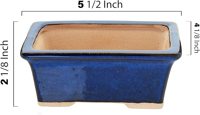 Leaves and Soul Complete Bonsai Set - Small Blue Rectangle Bonsai Pot | 160ft of Bonsai Hobby Wire | Wire Cutter | Bonsai Soil | Bonsai Fertilizer | Storage Bag