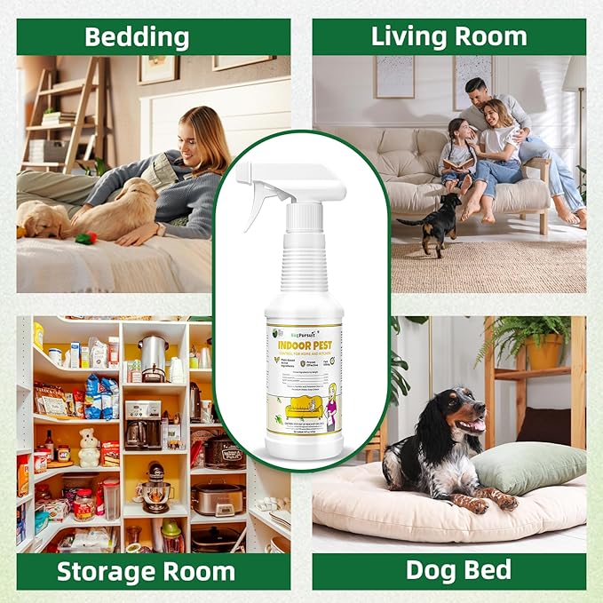 Bed Bug Spray 16 Oz, Carpet Beetle Killer, Indoor & Outdoor Bug Control for Bug Egg, Mite, Ant, Spider and Flea, Plant Extract Based Non Toxic Bed Bug Killer, Child & Pet Safe