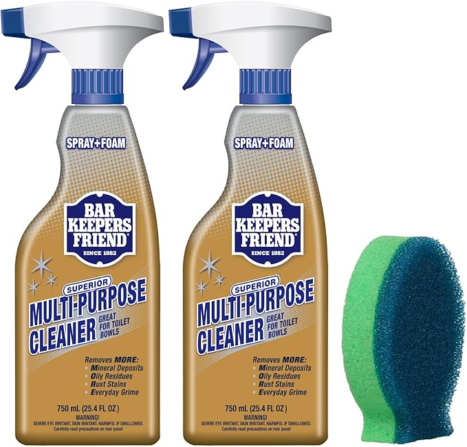 Bar Keepers Friend MORE Spray + Foam Multipurpose Cleaner (2 x 25.4 oz) & Dish Fish Dual Sponge for Bathroom, Kitchen & Outdoor Use on Stainless Steel, Aluminum, Brass, Tile, Ceramic, Porcelain & More