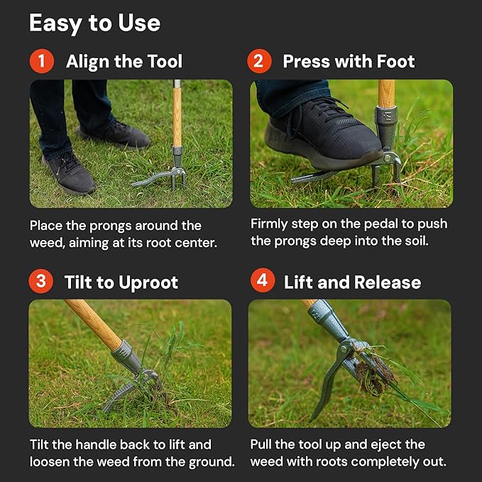 4-Claw Stand Up Weed Puller Tool with Long Handle - Adjustable 30"- 44" Heavy Duty Metal Head Weeder Tool with American Ashwood Handle, Easy Gardening Weed Removal, No Bending or Kneeling