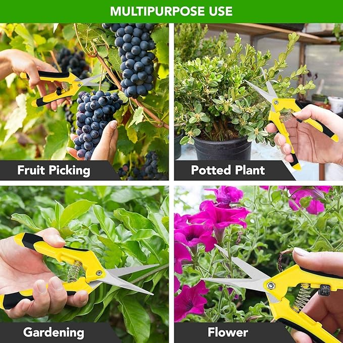 iPower 6.5 Inch Gardening Hand Pruner Pruning Shears Trimming Scissors with Straight Stainless Steel Blades for Bonsai, Herb, Bud, Hedge, 4-Pack, Yellow