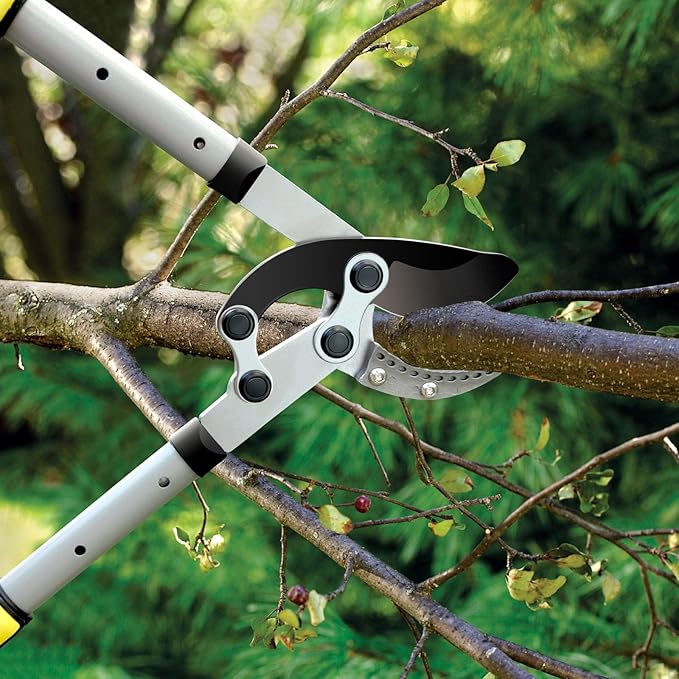 JARDINEER Tree Lopper Branch Cutter Heavy Duty, 3Pack Extendable Loppers for Tree Trimming, 28-38.5" Garden Lopper with 2 Inch Cutting Capacity