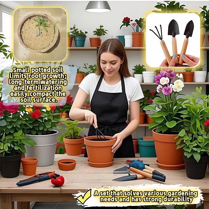 3-Piece Mini Garden Tool Set, Indoor Plant Care Kit with Wood Handle, Black Iron Tools for Potting, Transplanting and Cultivating, Compact Succulent and Houseplant Tools,Small Shovel, Trowel, Rake