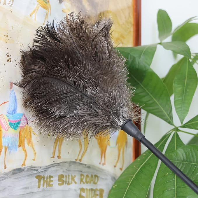 Natural Ostrich Feather Duster 14.9 inch Fluffy Mini Dusters with Plastic Handheld for Cleaning Car Keyboard Office 2 PCS
