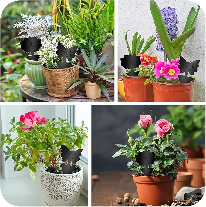 Fruit Fly Traps, 60 Pack Black Sticky Traps, Fungus Gnat Traps, Plant Fly Stickers for Indoor and Outdoor Use Protect The Plant