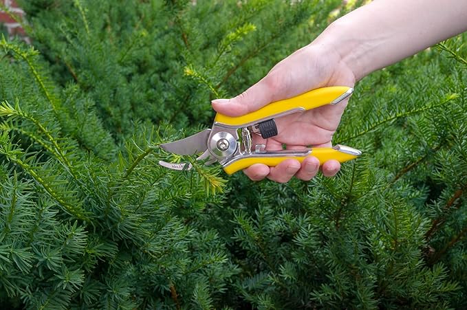 Dramm ColorPoint Stainless Steel Compact Garden Pruning Shears, Hand Pruner, Garden Clippers, with Heavy Duty Blade and Easy grip Handle, Red