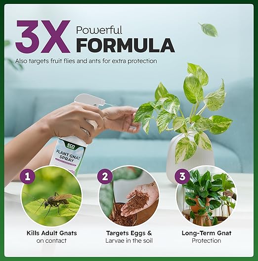 Eco Defense Gnat Spray for Indoor Plants – Fungus Gnat Killer & Houseplant Insect Control – Plant-Based Bug Spray for Houseplants & Indoor Gardening