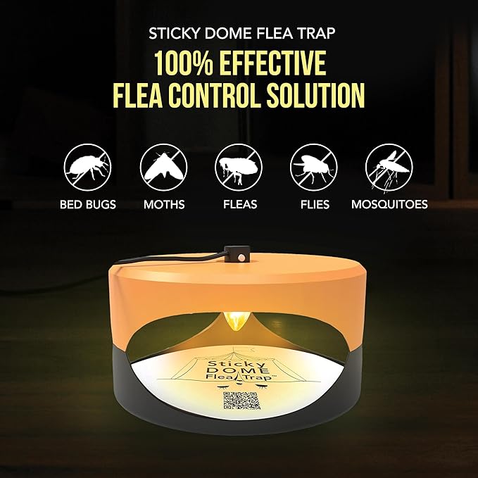ASPECTEK Sticky Dome™ Flea Trap, Odorless Glue Trap with 2 Sticky Discs, Effective Bed Bug Killer and Flea and Tick Treatment, Indoor Insect Trap for Bugs, 2 Packs in Orange and Dark Gray