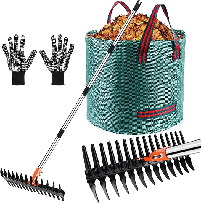 2-in-1 Thatch Rake with Dual Different Tines - Dethatcher Rake for Lawns, Versatile Lawn Rake for Thatch Removal and Soil Care, Heavy Duty Garden Rake Includes Reusable Waste Bag & Gloves