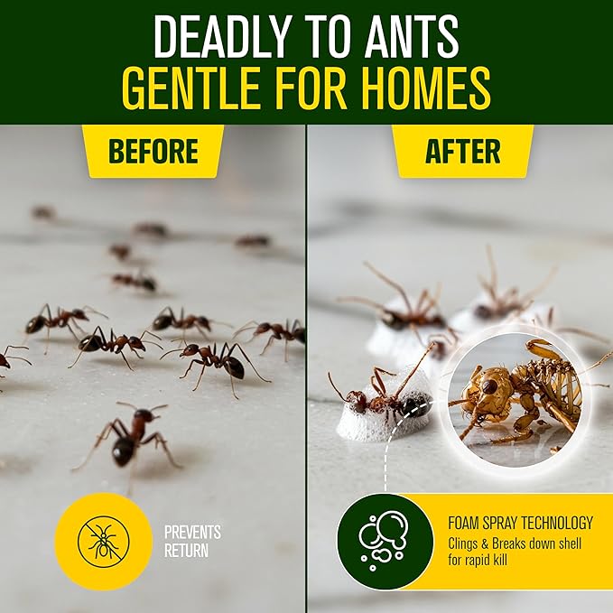Green Guard Pest Control Spray - Indoor & Outdoor Killer of Ants, Roaches, Spiders & Other Crawling Insects, Safe Around Children & Pets, Plant-Based, Pleasant Scent (Peppermint Hit, 16oz)
