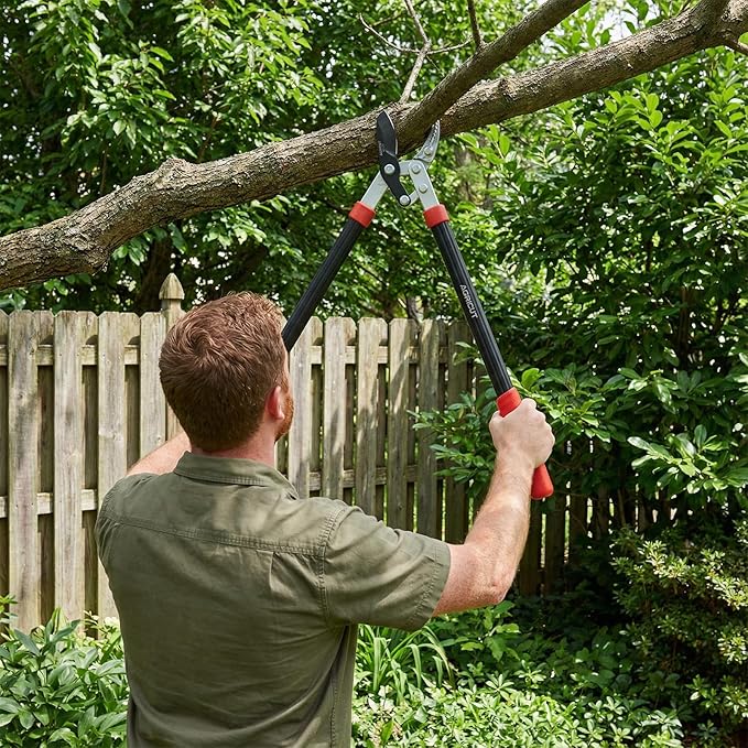 AGRICUT 21" Garden Loppers Anvil - Loppers for Tree Trimming Heavy duty 1.5" Cut Capacity Branch Cutter with Sharp High Carbon Steel Blade for Cutting Branches