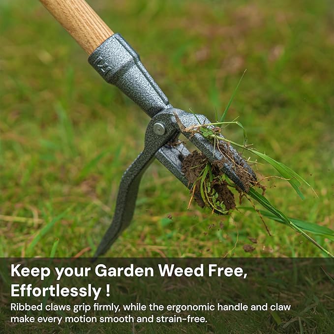 4-Claw Stand Up Weed Puller Tool with Long Handle - Adjustable 30"- 44" Heavy Duty Metal Head Weeder Tool with American Ashwood Handle, Easy Gardening Weed Removal, No Bending or Kneeling