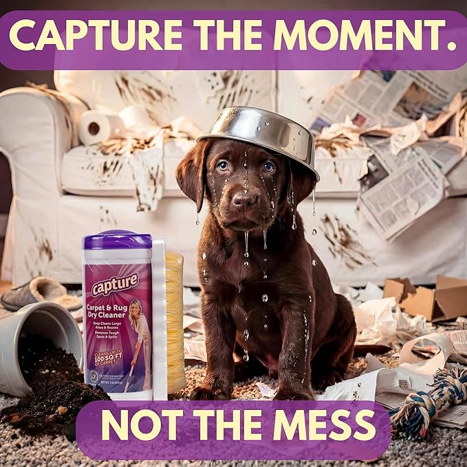 Capture Carpet & Rug Dry Cleaner w/Brush - Carpet Deodorizer & Freshener Powder - Pet Odor Eliminator - Fresh Natural Scent - Carpet Cleaner Powder - Odor Eliminator, Stains Spot Remover (1 lb)