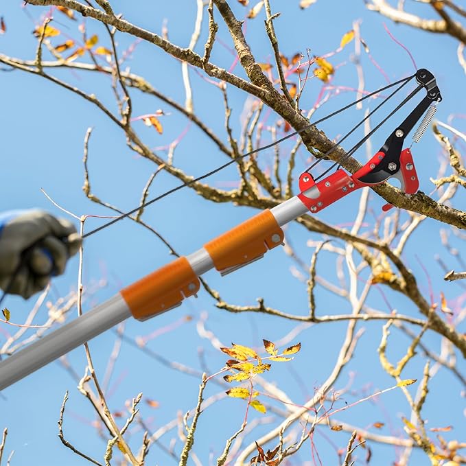 VINGLI 12ft Manual Pole Saws, Extendable Tree Trimmers Long Handle Pruner, 2Pcs Sharp Blade and Scissors, Long Tree Pruner with 2-section for Pruning Palms and Shrubs