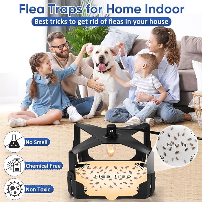 Flea Trap for Inside Your Home - 6 Bulbs & 8 Sticky Glue Boards for Bed Bug Control, Flying Insects Killer, Trap Pest Control for Bugs Gnats Moths Indoor and Outdoor（Black）