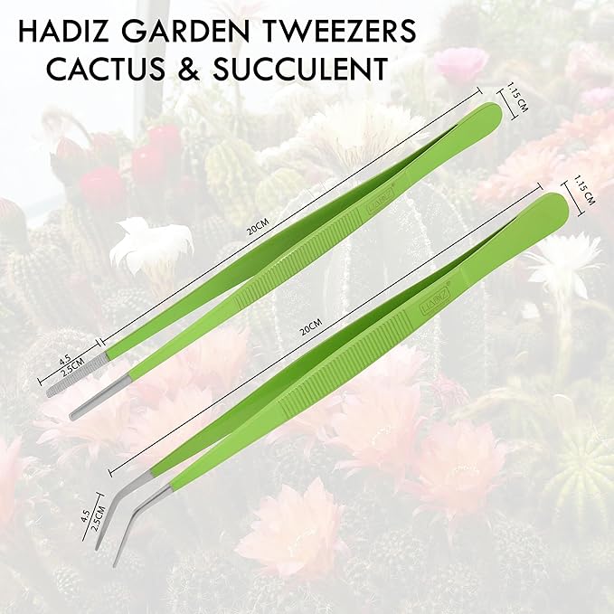 HADIZ Stainless steel Garden Tweezers Two Piece Set For Catus and Succulents 8 Inch Size (Straight & curved)