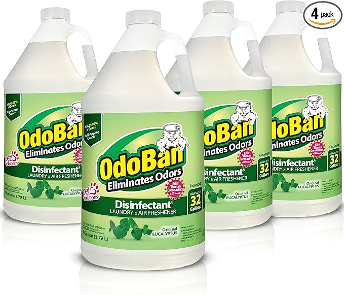 OdoBan Disinfectant Concentrate and Odor Eliminator, 4 Gallons, Original Eucalyptus Scent