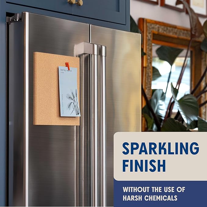 Aunt Fannie's Stainless Steel Spray Cleaner, Powered by Vinegar, Fingerprint and Residue Remover for Refrigerator, Dishwasher, Oven, Grill, Sink, Stovetop, and Other Appliances, Pack of 6