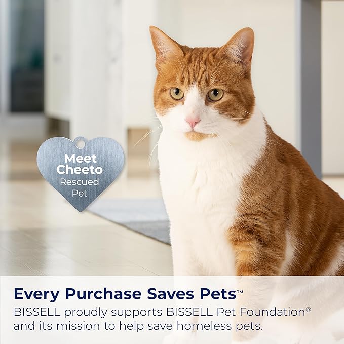 Bissell Multi-Surface Pet with Citrus, 34441, 64oz, Safe on Sealed hard Floors and Area Rugs, Removes tough pet messes and elimantes odors, Lemon Eucalyptus Essential Oils