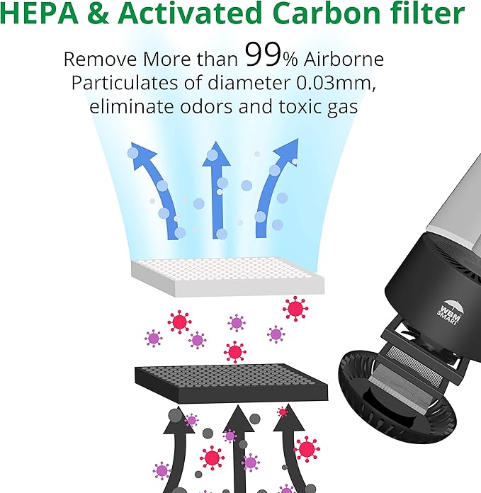 WBM Smart HEPA Filter Air Purifier for Allergies and Pets, Dust, Mold, and Pollen, Smoke and Odor Eliminator, Cleaner for Bedroom, Black
