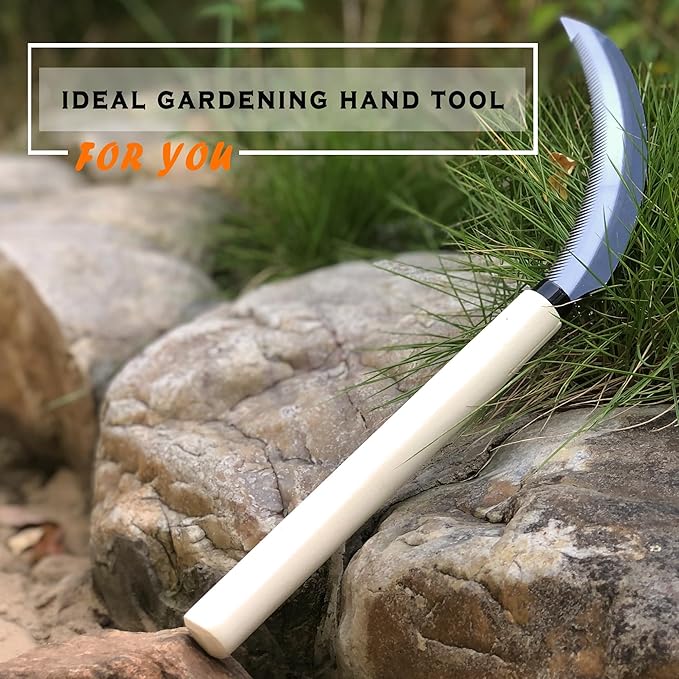 SHANFEEK Grass Sickle with Sawtooth Japanese Weeding Hoe Garden Hand Tool Weeding Tools for Garden High-Strength Steel with Solid Wood Handle (White)