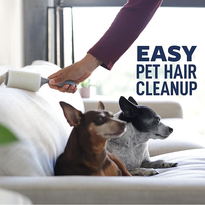 Scotch-Brite Everyday Clean Lint Roller, Lint Remover for Pet Hair, Dark Clothes, Furniture, and Dusty Surfaces, Picks Up Fur & Fluff in Your Home, Car, & Office, 2 Pack, 140 Adhesive Sheets Total