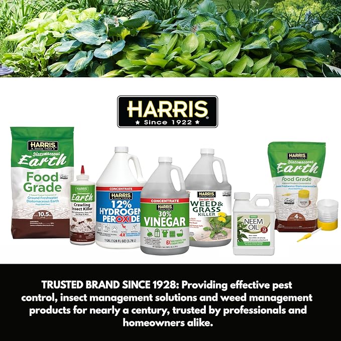 Harris Toughest Bed Bug Killer, Liquid Spray with Odorless and Non-Staining Extended Residual Kill Formula (Gallon)