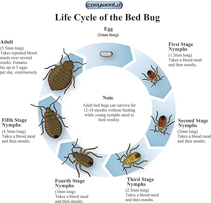 Bed Bug Killer, Fast and Sure Kill with Extended Residual Protection Bug Spray, Organic Insect Killer & Natural Roach Spray & Non-Toxic Ant Killer -22 oz