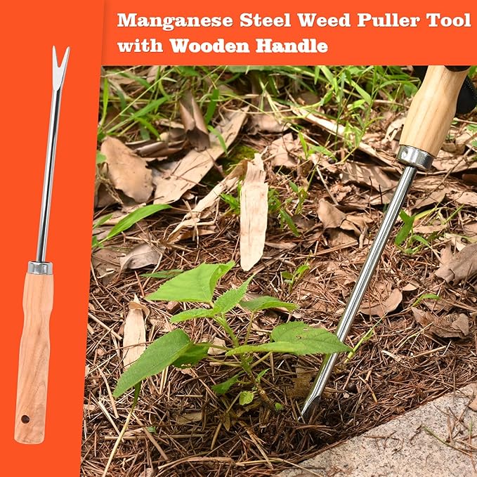 Wooden Handle Dandelion Weeder Tool - Polished Stainless Steel Dual - Forked Head Dandelion Weeder Puller Tool for Planting, Weeding, Flower & Vegetable Care with Nylon Nitrile Coated Gloves