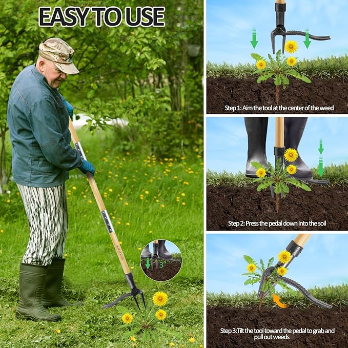 Weeder - Stand Up Weed Puller Tool Made with Long Handle - Real Bamboo & 4-Claw Steel Head, Weeding Tool Weed Remove Tool for Lawn/Yard