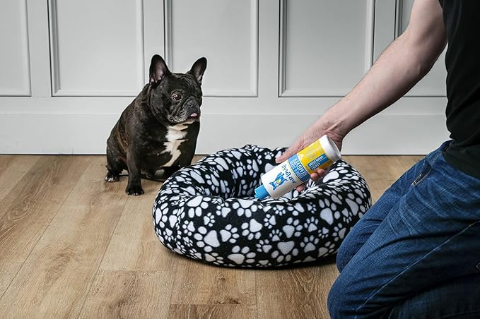 MR LOUIE Stain & Odor Remover for Carpet & Upholstery - Precision Pour No-Spray Cleaner Tough on Dog & Cat Urine, Vomit & Kid Stains - Safe for Kids & Pets (16oz)