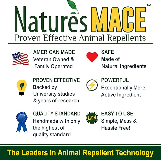 Nature’s MACE Bed Bug Killer 1 Gallon, Kill BedBugs Treatment, Mites, Eggs, Easy, Do-It-Yourself, Professional Bed Bug Spray, at-Home Solution, Mattress, Non-Toxic, Child & Pet Safe, Stain & Odor Free