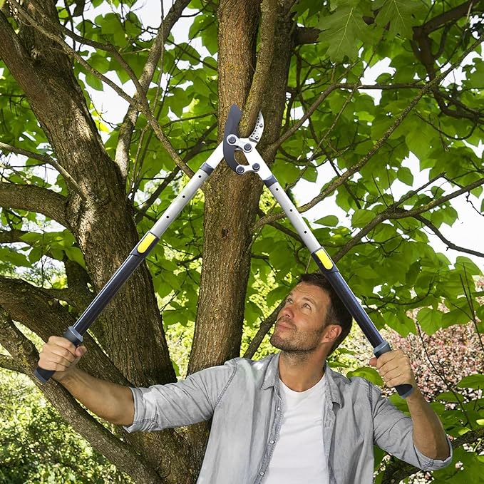 JARDINEER Tree Lopper Branch Cutter Heavy Duty, 3Pack Extendable Loppers for Tree Trimming, 28-38.5" Garden Lopper with 2 Inch Cutting Capacity