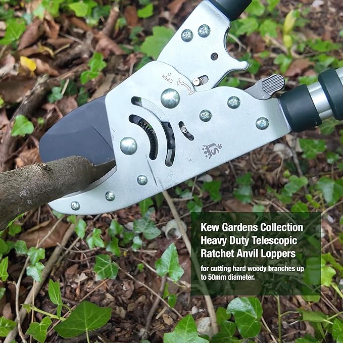 Spear & Jackson Kew Gardens Razorsharp Heavy Duty Telescopic Ratchet Anvil Loppers